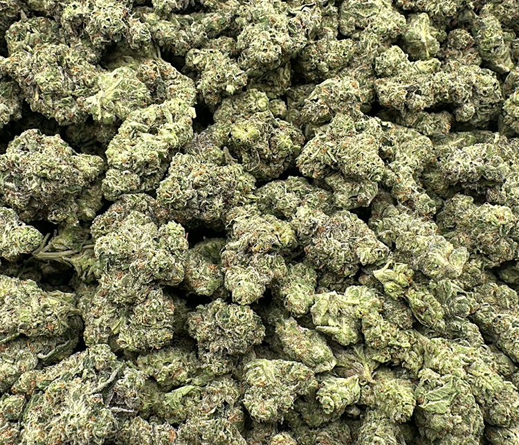 White Sherbert | Purple, Strong, Great Value hybrid 