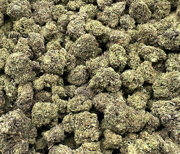 Miracle Alien Cookies | High End Hybrid Light Dep