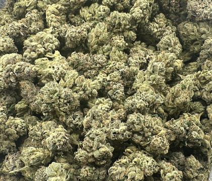 Jet Lag Powerful Exotic Indica CBX