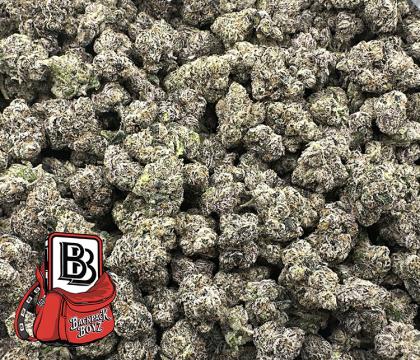 lemon cherry gelato
