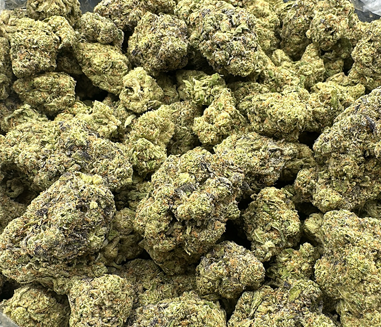 Magic Marker (RS11 x Permanent Marker ) Indica leaning Hybrid 