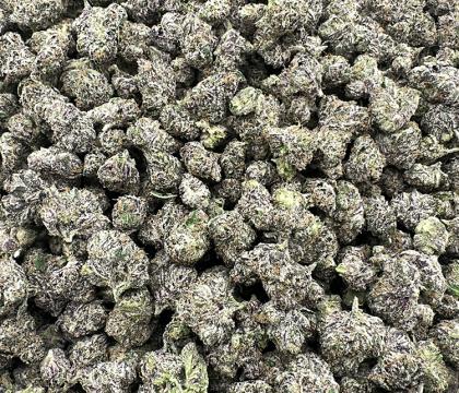 MOB smalls Indica Leaning Hybrid Exotic