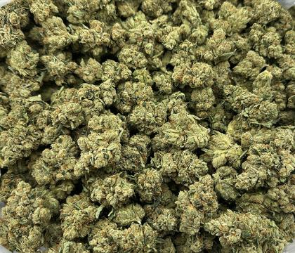 oaksterdam og topshelf