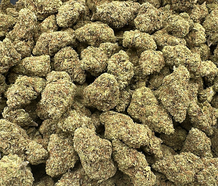 White Sherbert | Purple, Strong, Great Value hybrid 