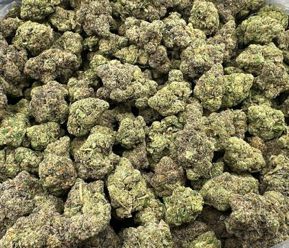 Purple OG Kush Indica Exotic Powerful