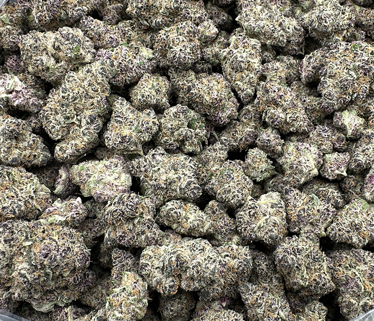 purple tangie topshelf