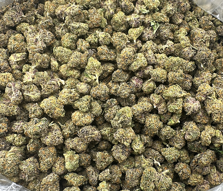 buckshot OG very high end Indica Exotic