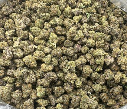 Red Hotz Smalls Exotic Slightly Sativa Dominant