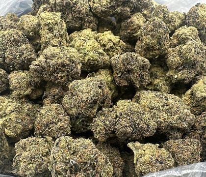 exotic runtz topshelf hybrid 