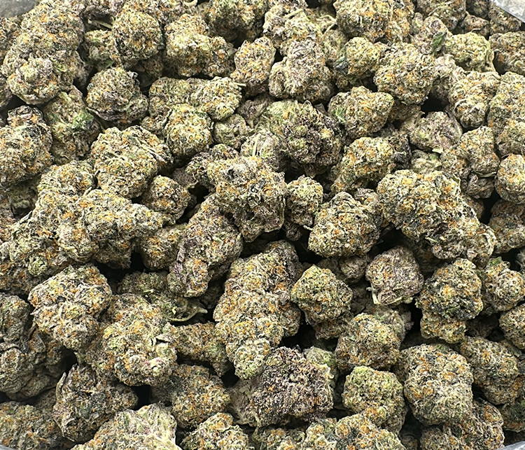 northern lights topshelf hybrid leaning indica