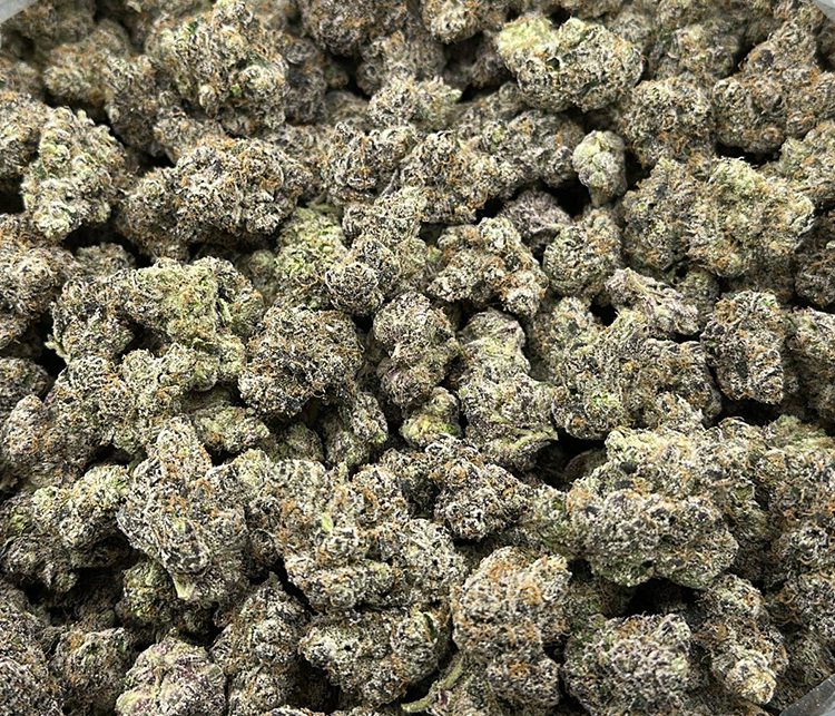 Buckshot OG (Venom OG and Biscotti) Indica Exotic