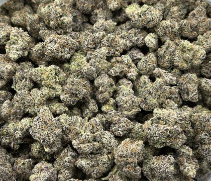 Strawberry Gelato (Gelato #33 & Strawberry Snow Cone) | High End Indica leaning Hybrid