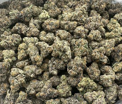 Versace (Sour Diesel X OG Kush X Granddaddy Purple) Sativa Leaning