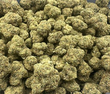 XJ-13 Sativa leaning Hybrid Exotic