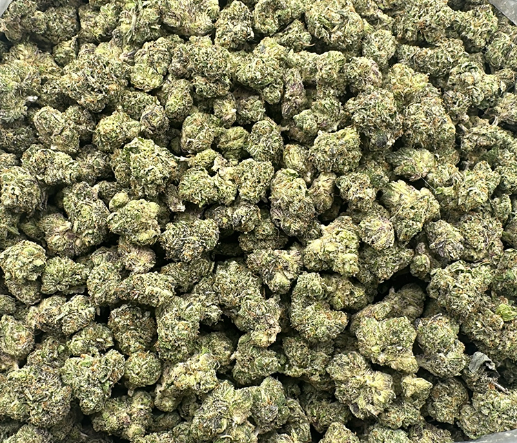 zangria topshelf hybrid exotic