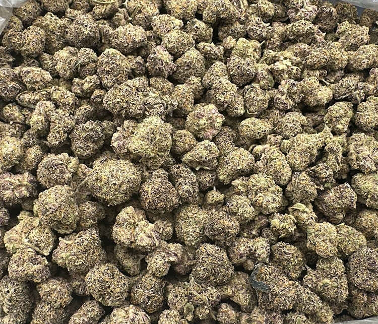 Cake Mix (Wedding Cake X London Pound Cake) indica leaning hybrid